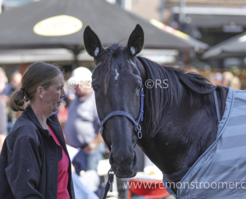 4062 – Schagen -11