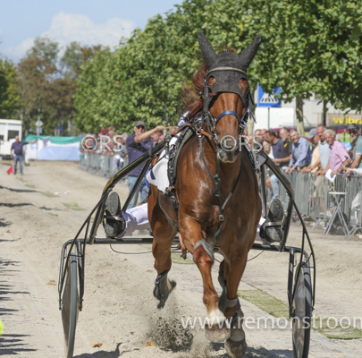 4062 – Schagen -17