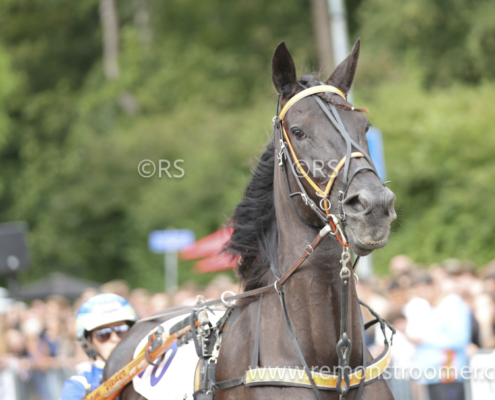 4063 – Heemskerk -14