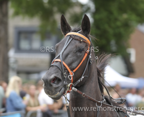 4063 – Heemskerk -16