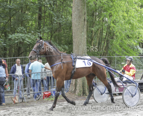 4063 – Heemskerk -8