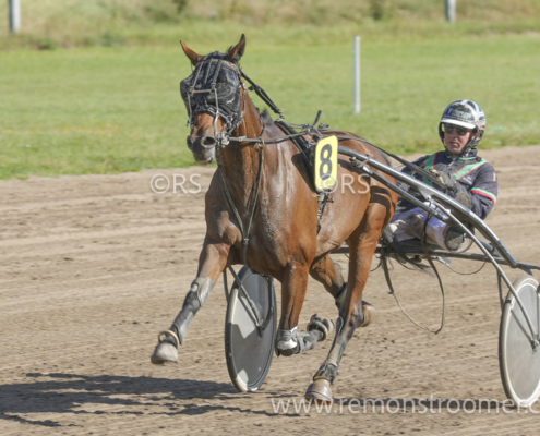 4064 – koers 1 -11