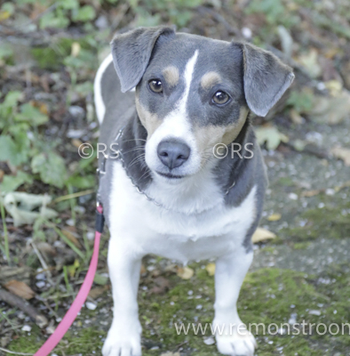 4069 – extra Portretten -5