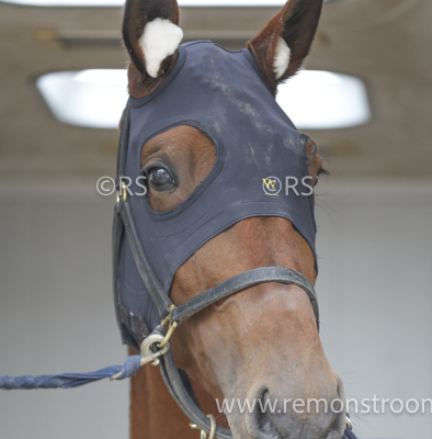 4071 – Zandvoort -4