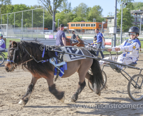 4092 – pony -14