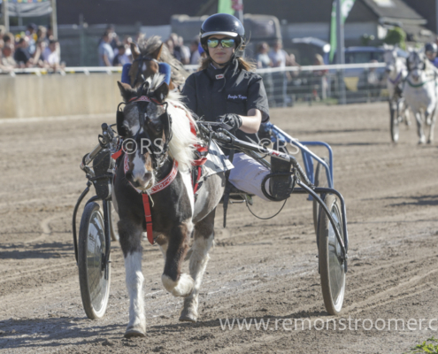 4092 – pony -8