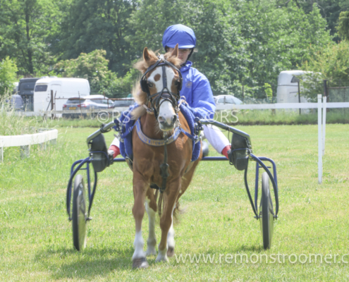 4097 – pony -1