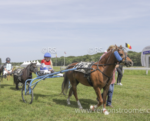 4097 – pony -12