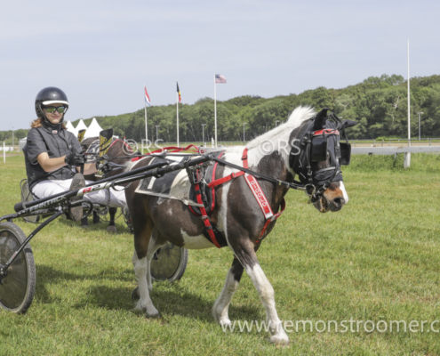 4097 – pony -13