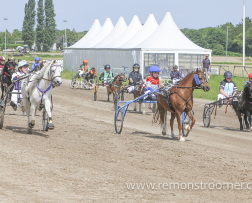 4097 – pony -5