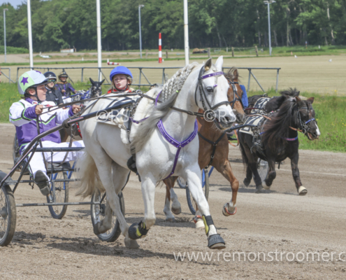 4097 – pony -6